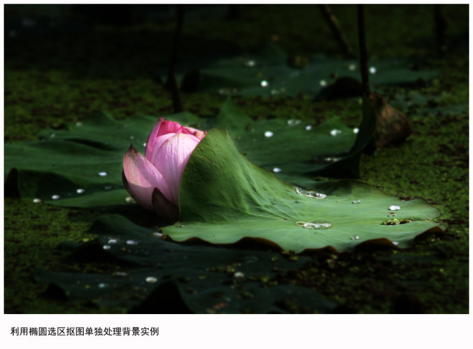 全福编程网教程