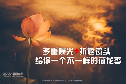 多重曝光折返镜头 给你一个不一样的荷花季