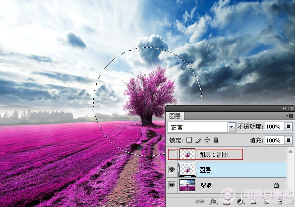 Photoshop打造梦幻薰衣草水晶球效果 电脑百事网