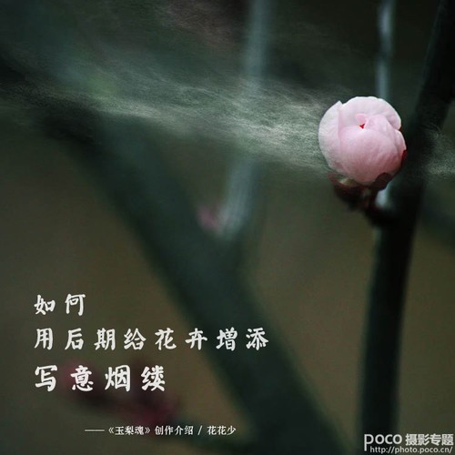 如何用后期给花卉增添写意烟缕 全福编程网
