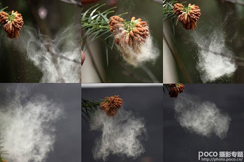 如诗如画 如何用后期给花卉增添写意烟缕