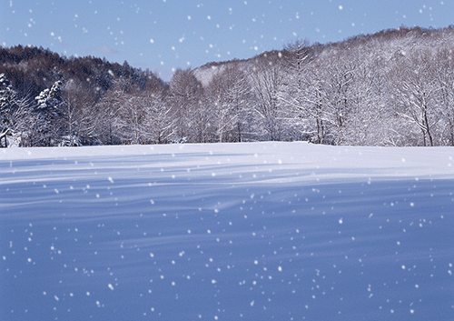 Photoshop制作自然的下雪动画   全福编程网