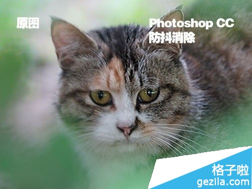 Photoshop CC新功能反向补偿消除模糊画面