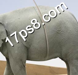 ps教程|ps合成|一起ps吧|气球|大象
