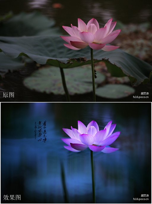 后期达人教你PS出朦胧诗意的月色荷塘 全福编程网