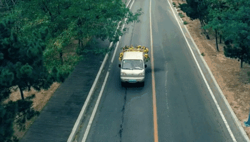 11.gif