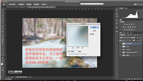 不靠插件 Ps打造属于你的梦幻柔焦风格