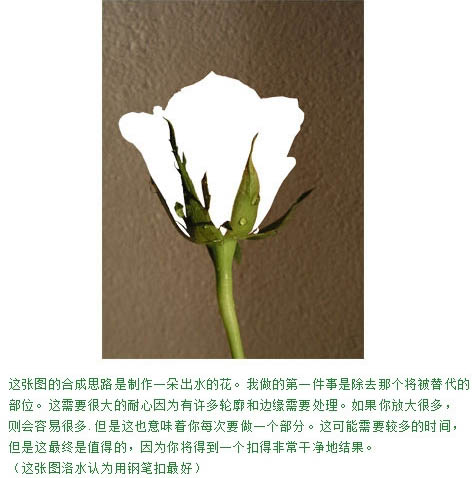制作创意液态水玫瑰花图案的PS技巧