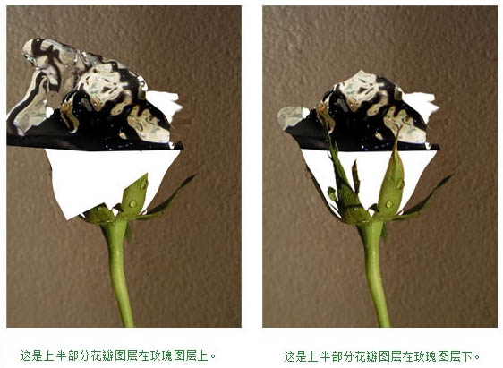 制作创意液态水玫瑰花图案的PS技巧