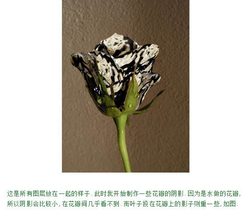 制作创意液态水玫瑰花图案的PS技巧