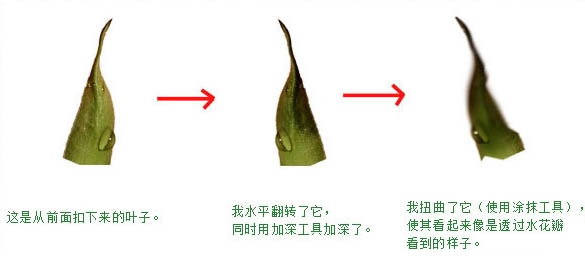 制作创意液态水玫瑰花图案的PS技巧