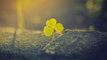 文案改写如何精简扼要 全福编程网
