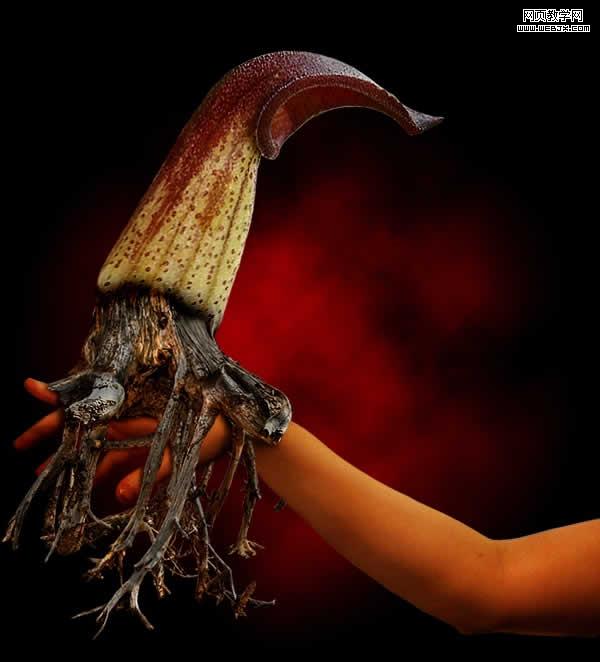 PS合成超酷的幻想花卉生物 全福编程网