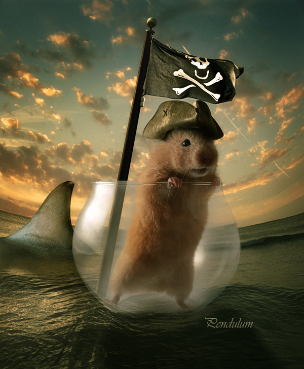 Photoshop合成可爱的海盗鼠船长教程 全福编程网