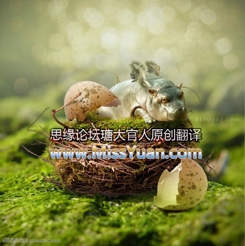 PS合成鸟巢中刚孵出的河马 全福编程网