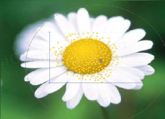 AI绘制漂亮花卉 全福编程网网 AI实例教程