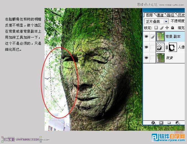 PS合成古树人像_软件自学网
