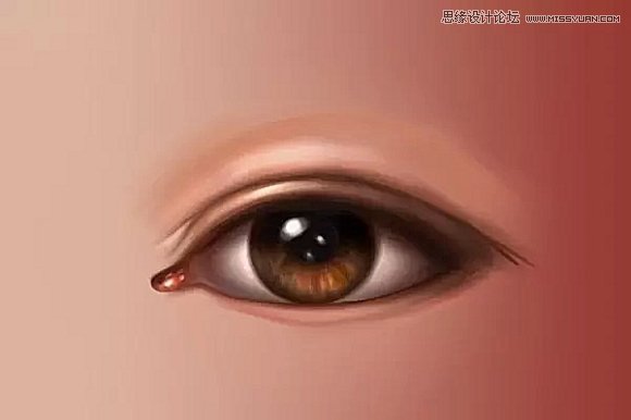 使用Photoshop鼠绘功能制作超逼真的人像眼睛效果教程