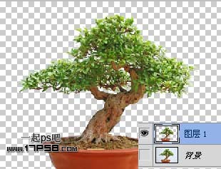 ps照片合成-打造山谷中的梦幻场景