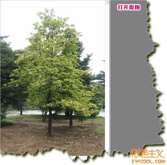 按此在新窗口浏览图片