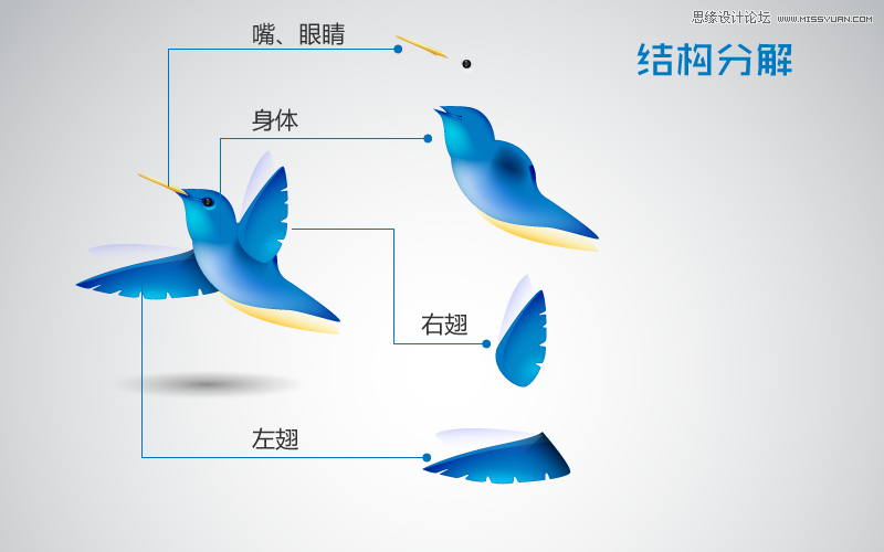 Illustrator制作可爱的蜂鸟教程