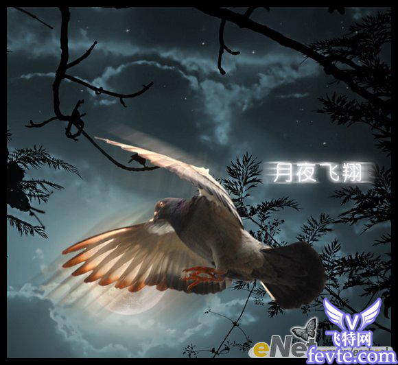 PS合成夜空中飞翔的鸽子效果 全福编程网