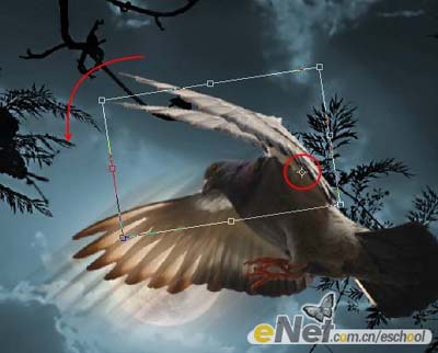 PS合成夜空中飞翔的鸽子效果 全福编程网