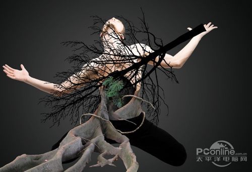 <a href='http://www.86ps.com/'><font color=''>Create</font></a> A Striking Nature