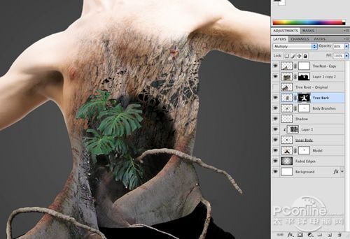 <a href='http://www.86ps.com/'><font color=''>Create</font></a> A Striking Nature