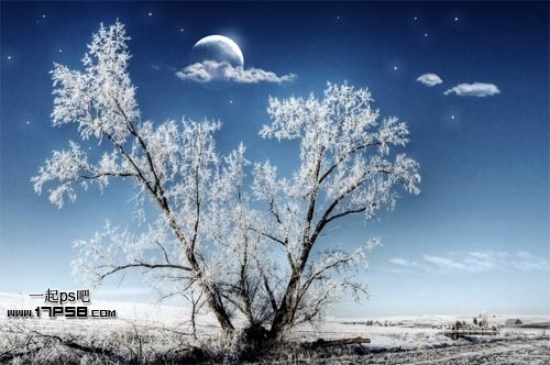 PS合成月夜下的雪松树教程 全福编程网教程