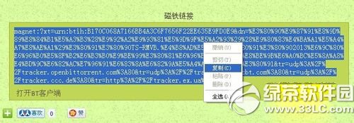 torrentkitty怎么用番号？torrentkitty番号使用方法4