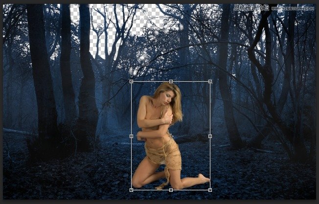 Photoshop合成森林中北树妖围困的仙子,PS教程,思缘教程网