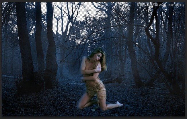 Photoshop合成森林中北树妖围困的仙子,PS教程,思缘教程网