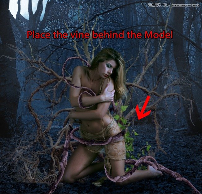 Photoshop合成森林中北树妖围困的仙子,PS教程,思缘教程网