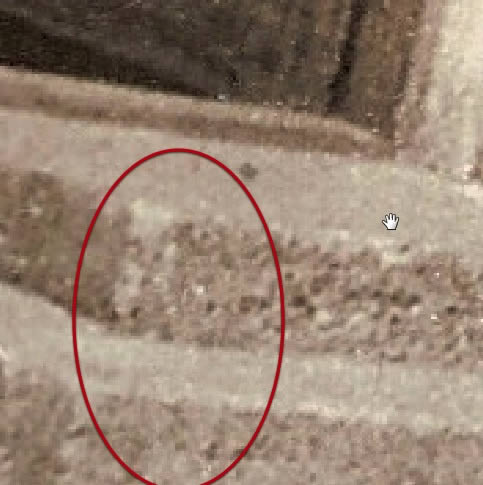 超详细介绍PS修复严重损毁的旧照片