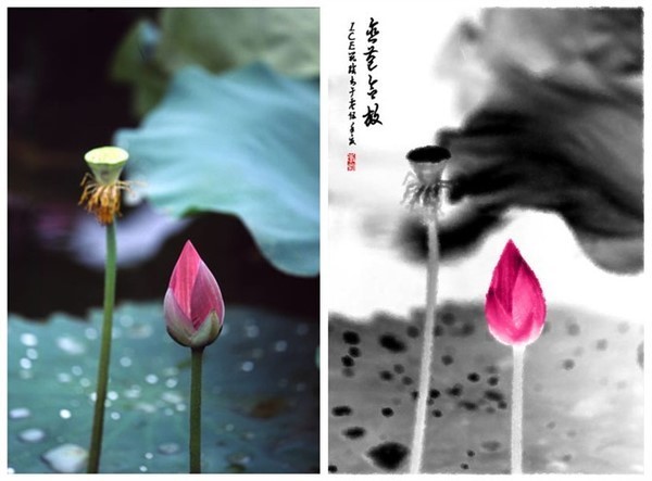 让你变成ps高手 - 飞鹰 - 飞鹰