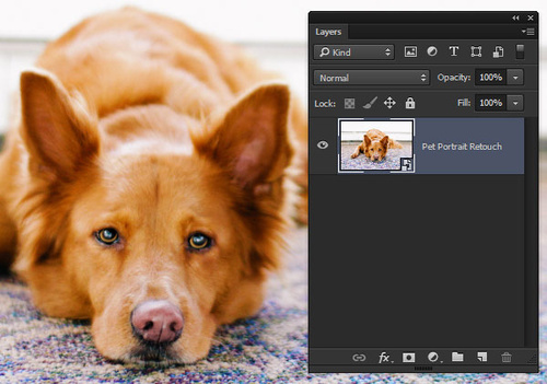 PS教程：Photoshop创建手绘宠物肖像照