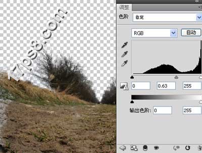 用photoshop合成死亡场景-骷髅与玫瑰