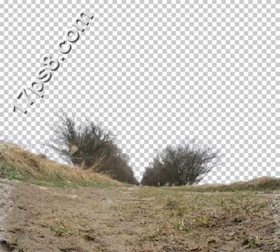 用photoshop合成死亡场景-骷髅与玫瑰