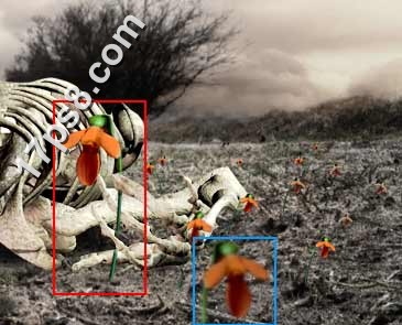 用photoshop合成死亡场景-骷髅与玫瑰