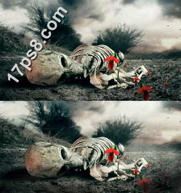 用photoshop合成死亡场景-骷髅与玫瑰