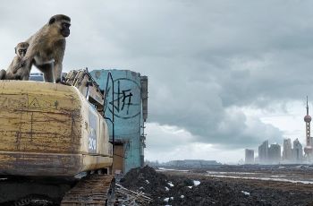 PhotoShop合成反对暴力拆迁宣传海报教程 全福编程网教程