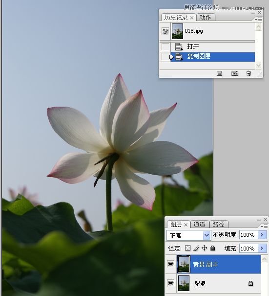 Photoshop合成色彩艳丽的荷花图,PS教程,思缘教程网