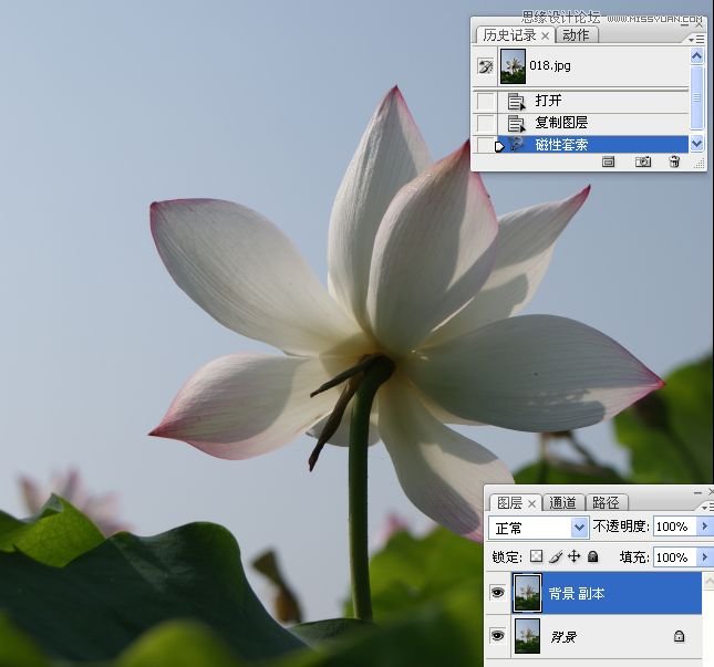 Photoshop合成色彩艳丽的荷花图,PS教程,思缘教程网