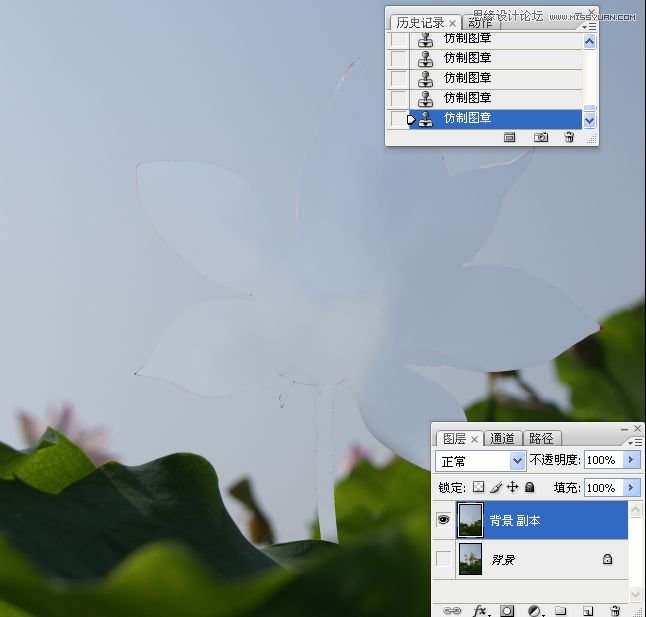 Photoshop合成色彩艳丽的荷花图,PS教程,思缘教程网