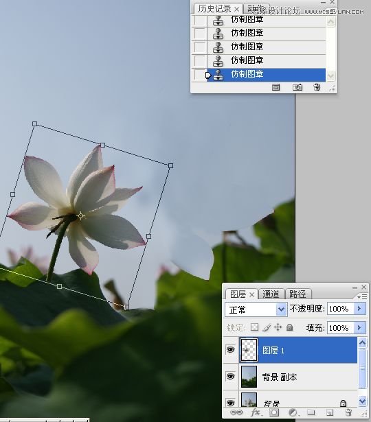 Photoshop合成色彩艳丽的荷花图,PS教程,思缘教程网