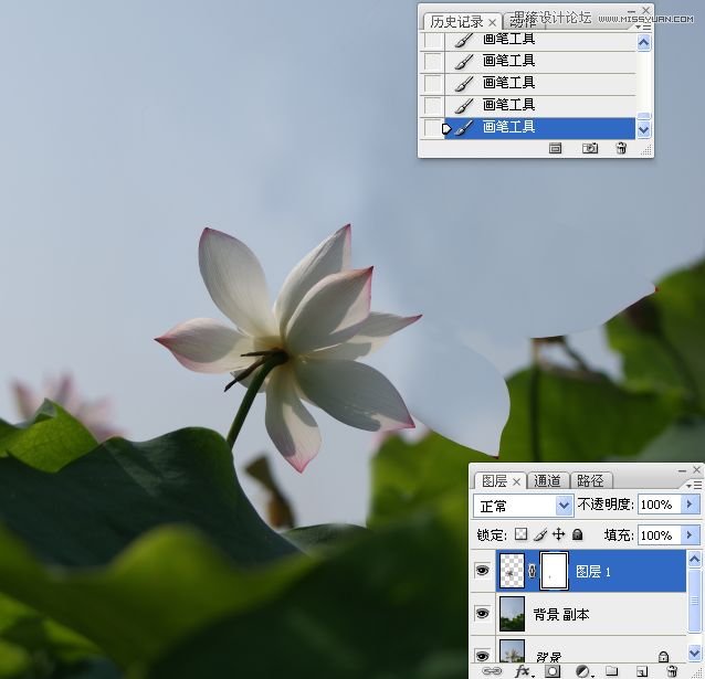 Photoshop合成色彩艳丽的荷花图,PS教程,思缘教程网