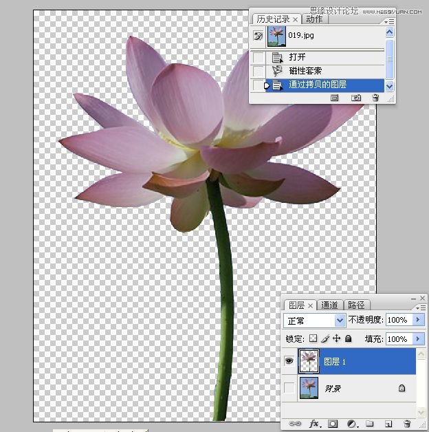 Photoshop合成色彩艳丽的荷花图,PS教程,思缘教程网
