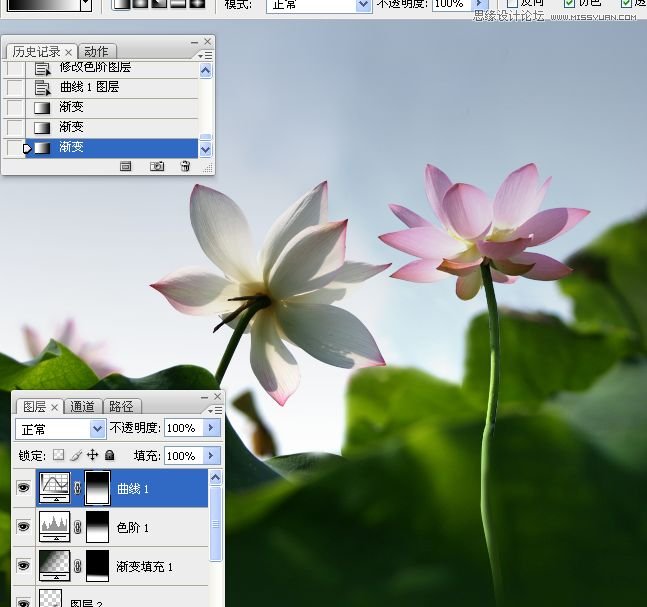 Photoshop合成色彩艳丽的荷花图,PS教程,思缘教程网