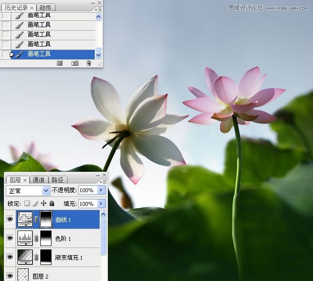 Photoshop合成色彩艳丽的荷花图,PS教程,思缘教程网